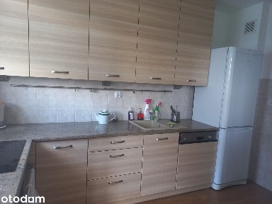 Mieszkanie w dogodnej lokalizacji do wynajęcia