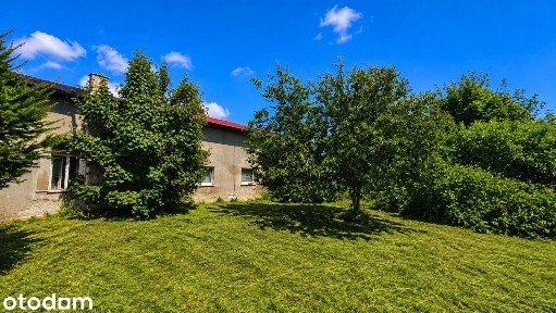 Świętoszewo, Przybiernów, goleniowski, zachodniopomorskie