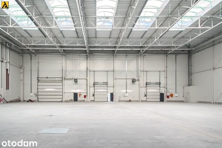 Hala/Magazyn, 1 256 m², Toruń