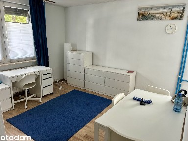 Mieszkanie na wynajem w Śródmieściu z piwnicą