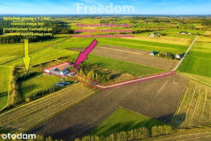 Hala produkcyjna z zapleczem blisko A2