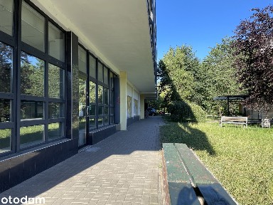 Lokal 197 m² Katowice Os. Tysiąclecia Chrobrego 29 - bezpośrednio!