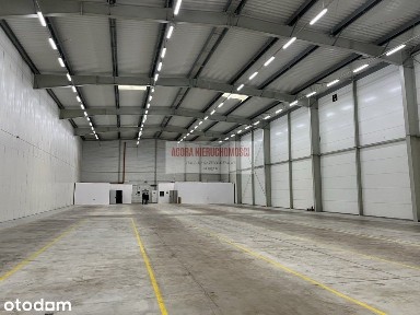 Magazyn 2100 m2 Lotnisko A4 Wysoki Skład + Biuro