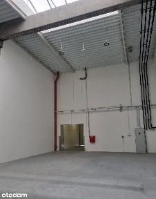 Wrocław ul.Graniczna nowy obiekt 300m2 (hala+biuro-socjal)-0 PROWIZJI