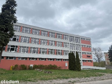 Lokal biurowy 46 m² - ul. Spalska, Tomaszów Mazowiecki
