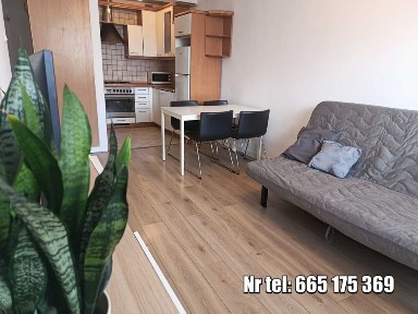 Centrum, bezpośrednio 2 pokoje, 39 m2, loggia, klimatyzacja, ochrona