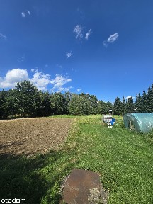 Dom Wolnostojący Z DUŻĄ DZIAŁKĄ 4973 m²