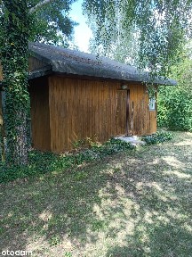 Sprzedam działkę ROD w Dębe Wielkie