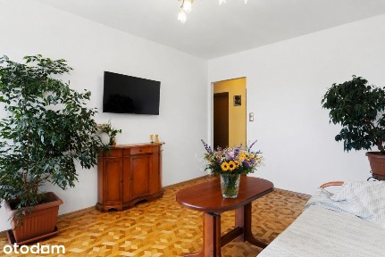 Gitarowa, Wojnów, Psie Pole, Wrocław, dolnośląskie