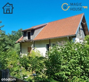 Klimatyczny dom z bali na wzgórzu przy lesie