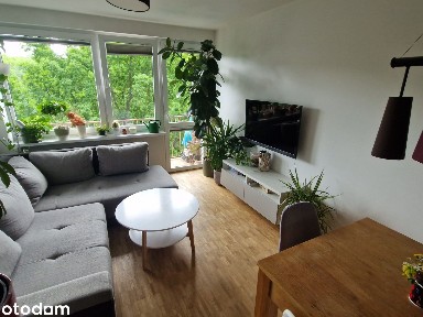 4 pokoje | 78 m² | po generalnym remoncie | Teofilów Rogatka