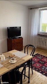 Wynajmę ciche, eleganckie mieszkanie 40m2 od zaraz - z ładnym widokiem