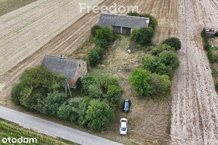 Dom z dużą działką w miejscowości Żyłki