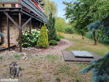 Sprzedam nieruchomość 80 m² z działką 700 m² -WIKTOROWO, pow. żniński