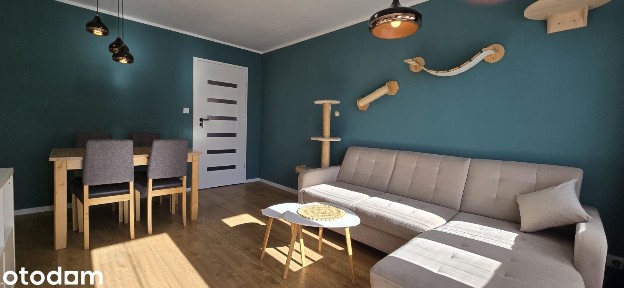 *Bez pośredników* 3 pokoje z balkonem 4min od Spodka