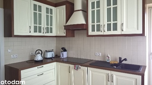 BEZPOŚREDNIO - Apartament w centrum / okolice placu Axentowicza / 97m2