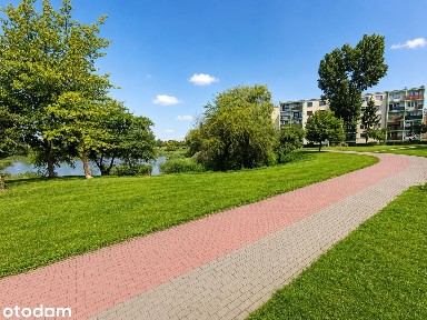Aleja Niepodległości, Inowrocław, inowrocławski, kujawsko-pomorskie