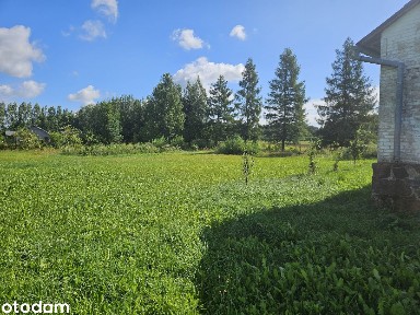 Siedlisko - 8 km od Suwałk