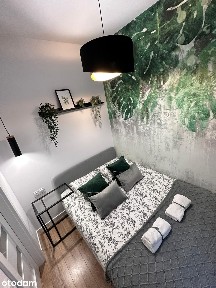 Nowoczesny apartament w centrum, Plebiscytowa