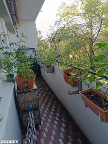 3 pokoje | 60 m² | Sady Żoliborskie | Żoliborz | 1 050 000 zł