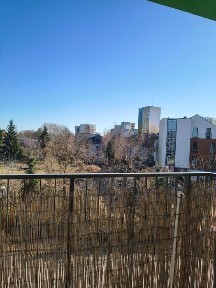 2 -pokojowe mieszkanie w nowoczesnym bloku, Krzyki Babiego Lata