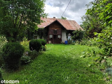 Siedlisko | działka 4600 m2 | ogród