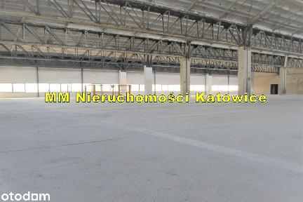 Będzin, będziński, śląskie