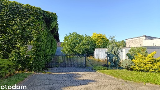 Sprzedam siedlisko Dobroń Duży