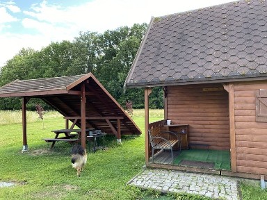 Domek całoroczny do wynajęcia
