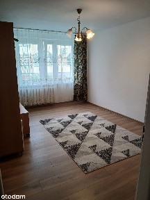 Mieszkanie 2 pokoje, parter, ogródek, widna kuchnia, centrum Błonia