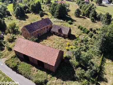 Duża działka 55 arów / dom + zabudowania gospodarcze - Wykroty