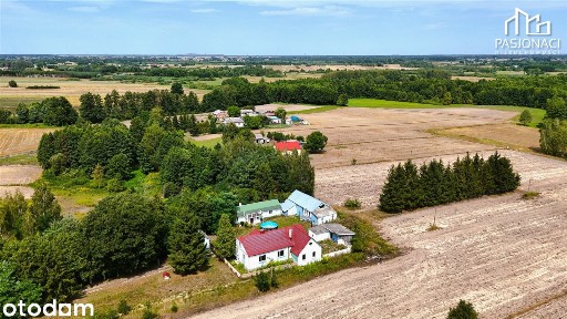 Urokliwe siedlisko w Białce Kolonii gm. Milejów