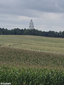 Wolnostojący dom w stanie surowym otwartym