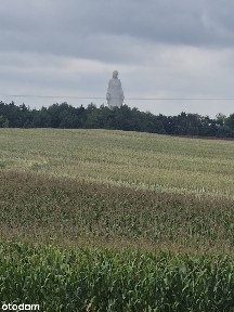 Wolnostojący dom w stanie surowym otwartym