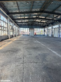 Hala produkcyjno-magazynowa do wynajęcia. Plac składowy, parking.