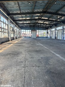 Hala produkcyjno-magazynowa do wynajęcia. Plac składowy, parking.