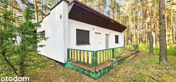 Urocze, leśne domki letniskowe przy jeziorze!