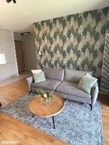 Atrakcyjne mieszkanie Gdańsk Zajezdnia Wrzeszcz