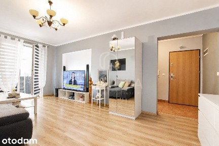 3 pokoje Szczecin Śródmieście