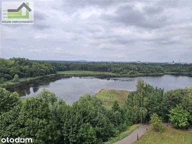 Osiedlowa, Szopienice-Burowiec, Katowice, śląskie