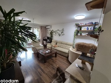 Bezpośrednio| ul.Przewóz| 71 m²| 3 pokoje + kuchnia| Klima+Duża Loggia