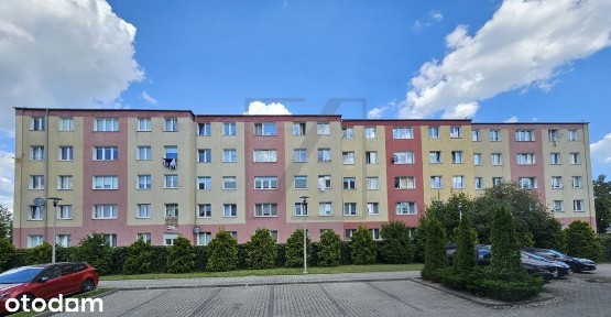 Prezentacje 29 sierpnia