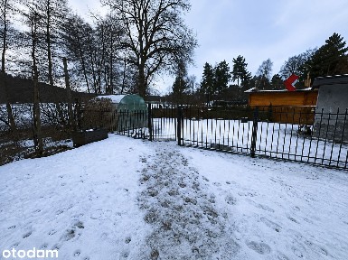 Syndyk sprzeda 1/2 udziału w lokalu mieszkalnym