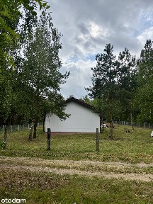 Urokliwy domek w lesie