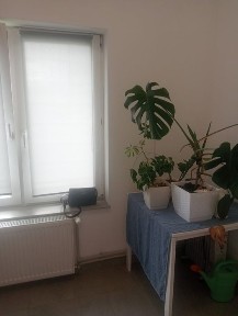 Kawalerka do wynajęcia