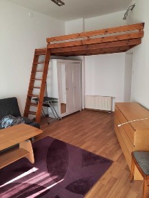 Do wynajęcia mieszkanie w centrum
