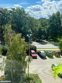 Mieszkanie nad stawem przy Parku.