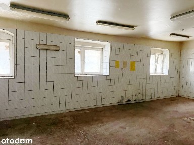 Duży lokal użytkowy w centrum, do adaptacji!