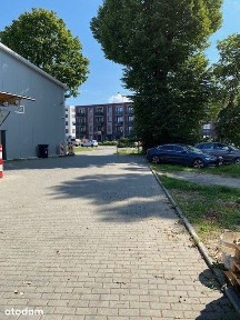 Gumieńce, Zachód, Szczecin, zachodniopomorskie