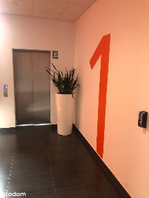 Powierzchnie biurowe do wynajęcia 3 piętro